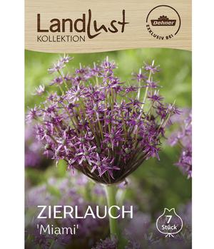 Dehner Landlust Kollektion Blumenzwiebel Zierlauch 'Miami', 7 Stk.