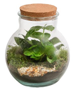 Flaschengarten DIY Set Leaf Lab, 7-teilig, ca. Ø20/H20cm