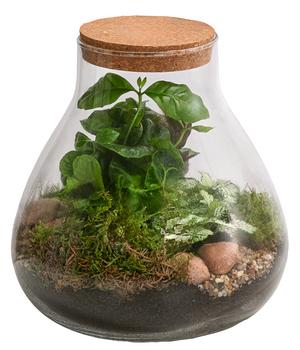 Flaschengarten DIY Set Terra Verde, 9-teilig, ca. Ø22/H23 cm