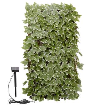 Smart Garden Solar-Spalier Efeu, ca. 180 cm, Grün - Weide / Kunststoff
