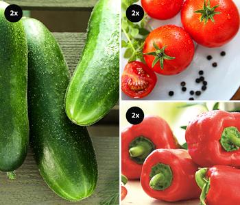 Gemüse-Set Snackgemüse für den Balkon, 6-teilig