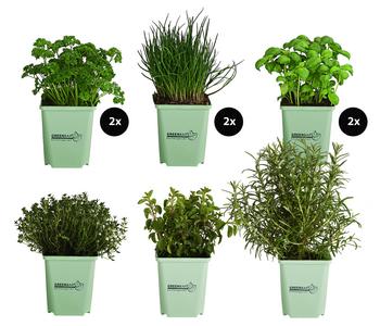 GREENBAR® Kräuter-Set Vielfalt, 9-teilig