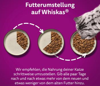 Whiskas purina on sale