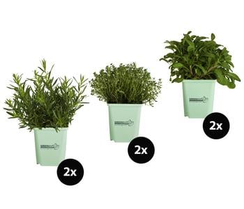 GREENBAR Kräuter-Set Französische Küche, 6-teilig, Grün