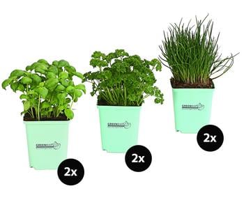 GREENBAR® Küchenkräuter-Set, 6-teilig