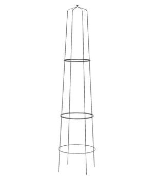 Dehner Obelisk Nova