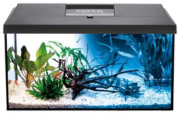 AQUAEL Aquarien-Set Leddy Day & Night 60 2.0, 54 l, ca. B60/H30/T30 cm