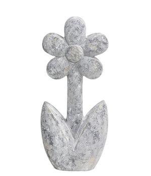 Dehner Magnesia-Blume