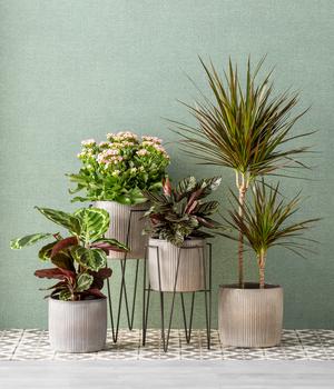 blumenkasten mit gestell 🌱 PLANTA Pflanzkasten mit Gestell – Pflanzen mit Stil – BUTLERS main image 0