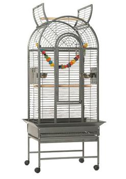 Montana Vogelvoliere Haiti, Antik