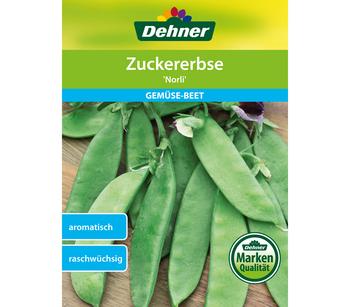Dehner Samen Zuckererbsen 'Norli'