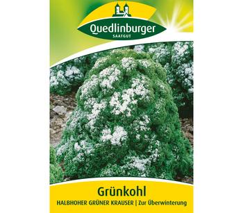 Quedlinburger Samen Grünkohl 'Halbhoher Grüner Krauser'
