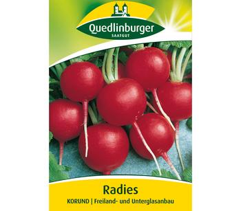 Quedlinburger Samen Radies 'Korund'
