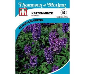 Thompson & Morgan Samen Katzenminze 'Blue Moon'
