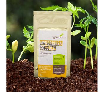 Mykorrhiza Soluble, 30 g