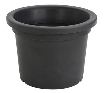 CREATIV green knstliche Premium | Dehner