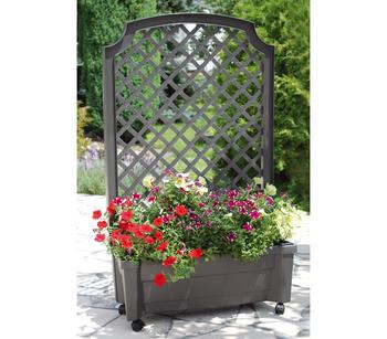 KHW Kunststoff-Pflanzkasten Calypso, inkl. Spalier und Rollen
