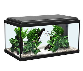 aquatlantis Aquarium Advance 60 LED Set, Schwarz
