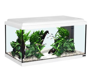 aquatlantis Aquarium Advance 60 LED Set, Weiß