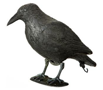 Dehner Taubenschreck Rabe, Schwarz - Kunststoff