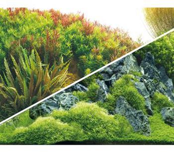 Hobby Aquarium Rückwand Planted River/Green Rocks - Kunststoff
