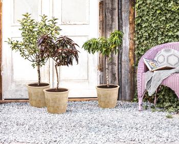 Dehner Terrakotta-Topf Grado, rund, antik-terrakotta