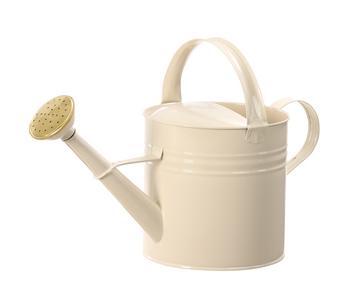 Dehner Zink-Gießkanne, 5 l