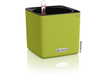 LECHUZA CUBE Color, All-in-One Set