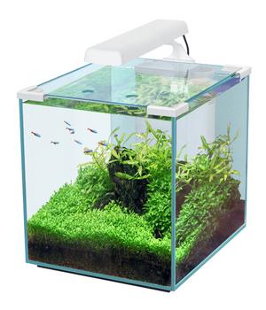 aquatlantis Aquarium Nano Cubic 30, Weiß