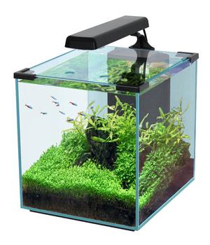 aquatlantis Aquarium Nano Cubic 30, Schwarz