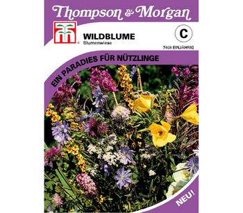 Thompson & Morgan Samen Wildblume 'Blumenwiese'