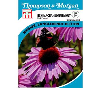Thompson & Morgan Samen Sonnenhut 'Pink Parasol'