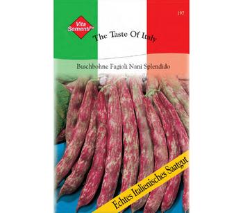 Thompson & Morgan Samen Buschbohne 'Fagioli Nani Splendido'