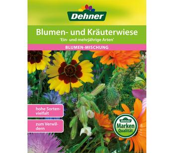 Dehner Blumen- und Kräuterwiese 'Ein- mehrjährige Arten', Bunt
