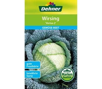 Dehner Samen Wirsing 'Vertus 2'