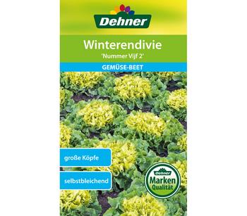 Dehner Samen Winterendivie 'Nummer Vijf 2'