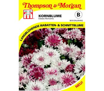 Thompson & Morgan Samen Kornblume 'Classic Romantic', Bunt