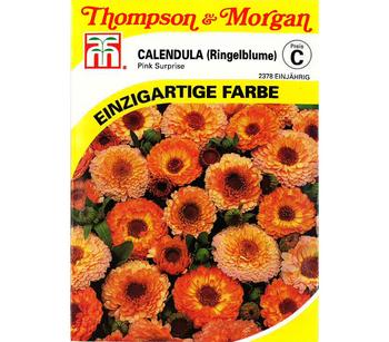 Thompson & Morgan Samen Calendula 'Pink Surprise', Orange / Rosa