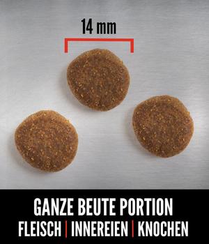 pferdefleisch hundefutter Gekochtes Hundefutter: Pferd main image 1