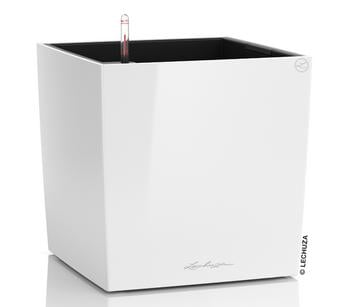 LECHUZA® CUBE, All-in-One Set