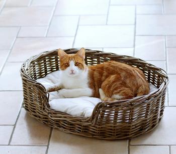 Silvio Desgin Heimtierbett Strolchi, oval, Braun - Baumwolle / Rattan