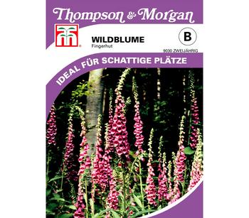 Thompson & Morgan Samen Wildblume 'Fingerhut', Rosa / Lila