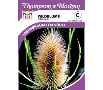 Thompson & Morgan Samen Wildblume 'Wilde Karde'