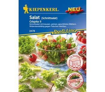 Kiepenkerl Samen Salat 'Crispita II'