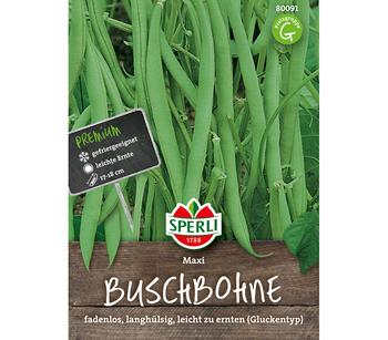 SPERLI Samen Buschbohne 'Maxi'