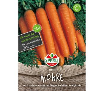 SPERLI Samen Möhre 'Tozresis'