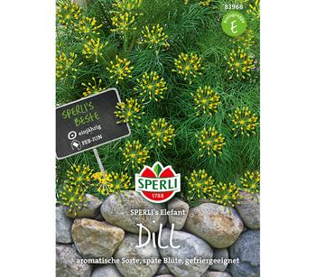 SPERLI Samen Dill 'SPERLI ́s Elefant'