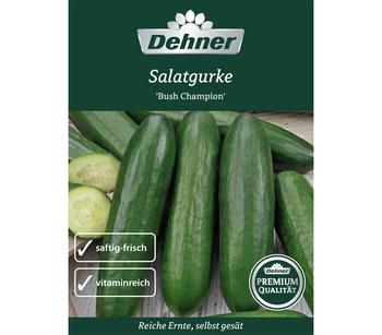 2 x Dehner Samen Salatgurke 'Bush Champion' - Mindestbestellmenge: 2 Stk.