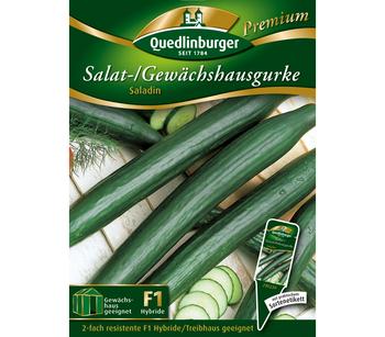 Quedlinburger Salat-/Gewächshausgurke 'Saladin'