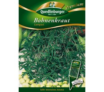 Quedlinburger Samen Bohnenkraut 'Compact'
